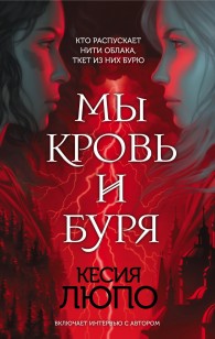 Обложка книги Мы – кровь и буря