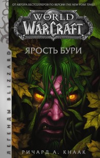 Обложка книги World of Warcraft. Ярость Бури
